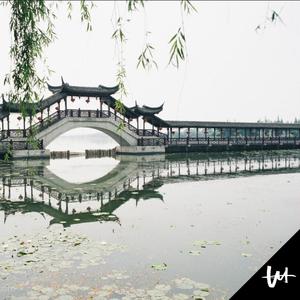 欧美人与动物xxx
